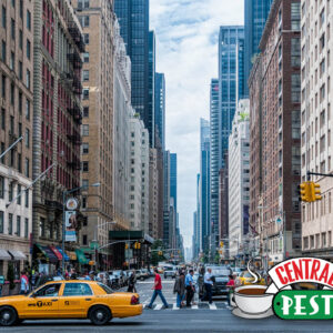 Jóbarátok szabadulószoba - 90 perc 2-6 fő részére